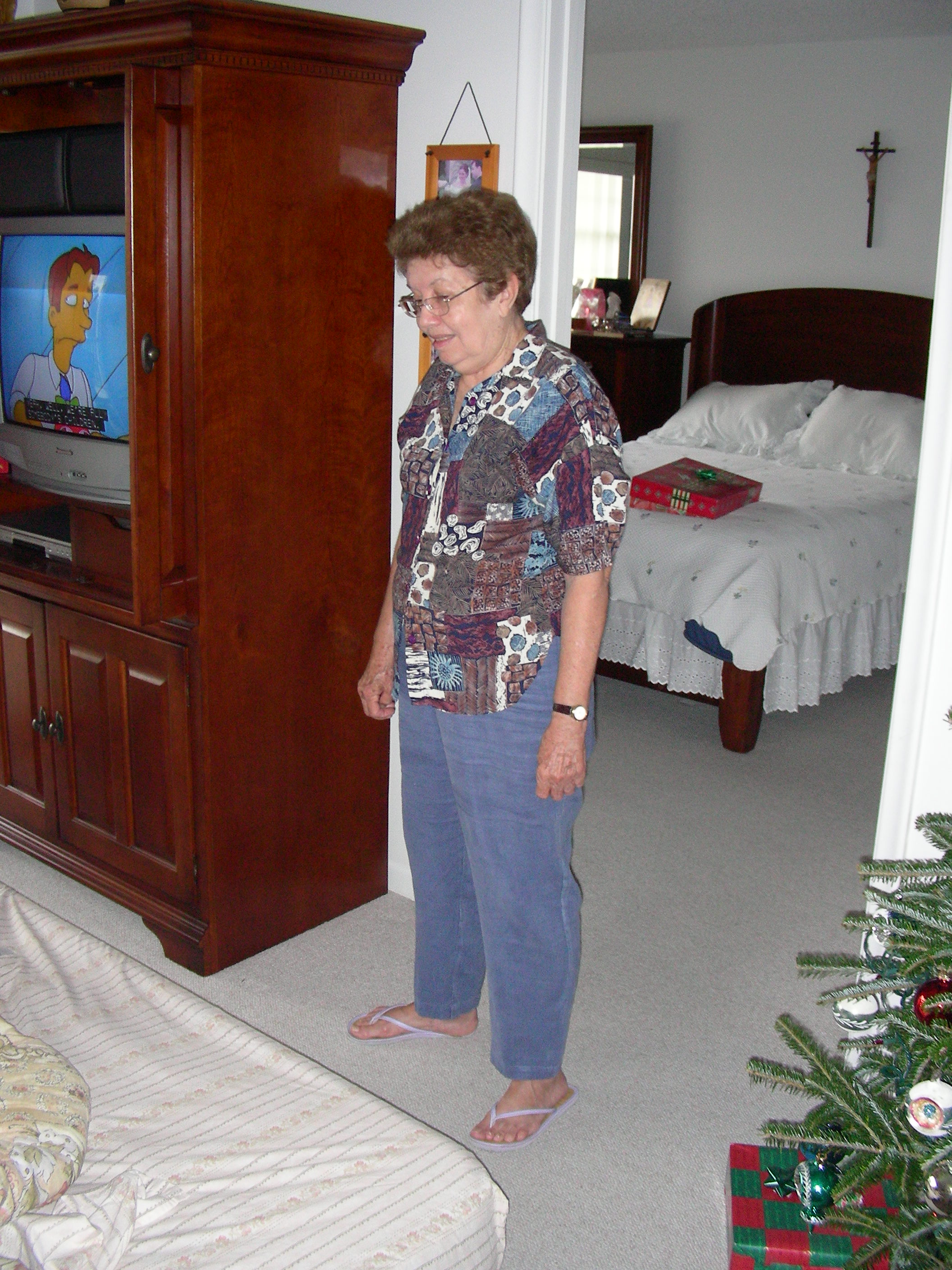 ./2006/Christmas/Mom and Dad's/VDSCN0542.JPG